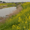 川面