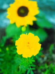 太陽と月