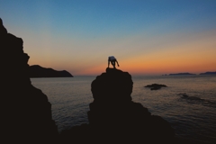 夕日