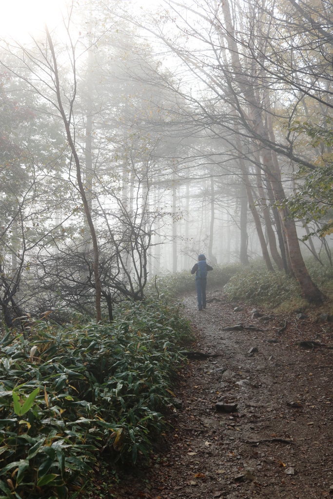 walking in the fog