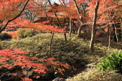 調和・①