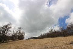 ここにも春がやっと？
