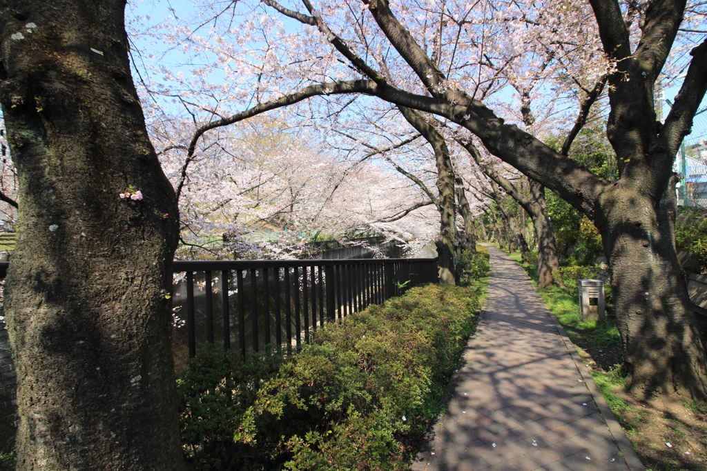 散歩道