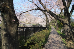 散歩道
