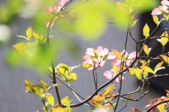 穏やか