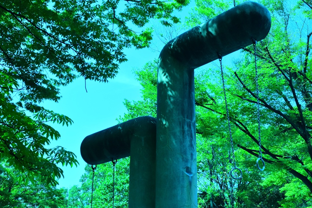 夏