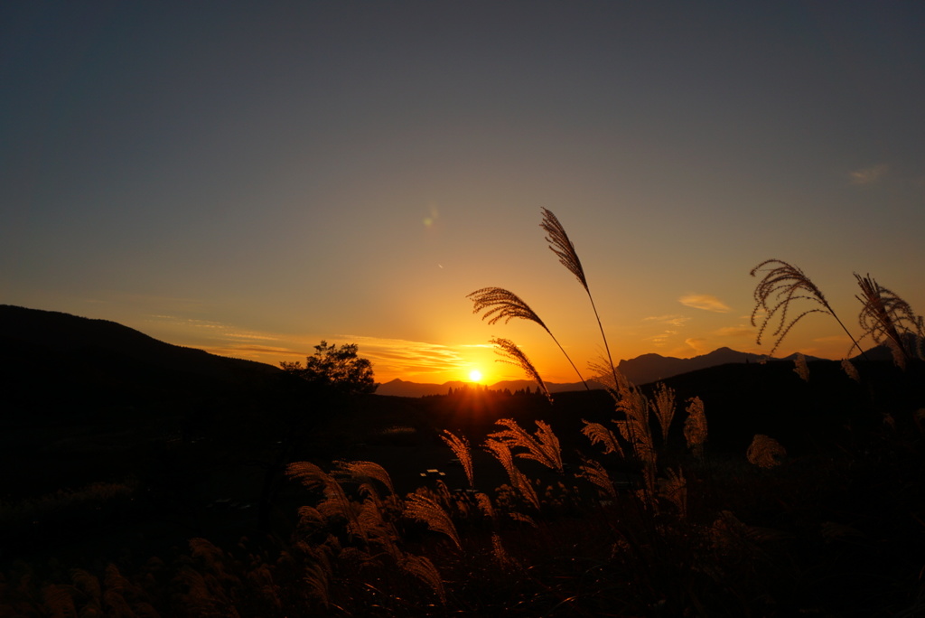 Twilight