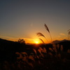 Twilight