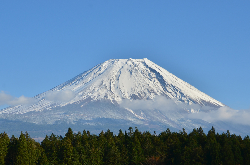 冠雪の富士