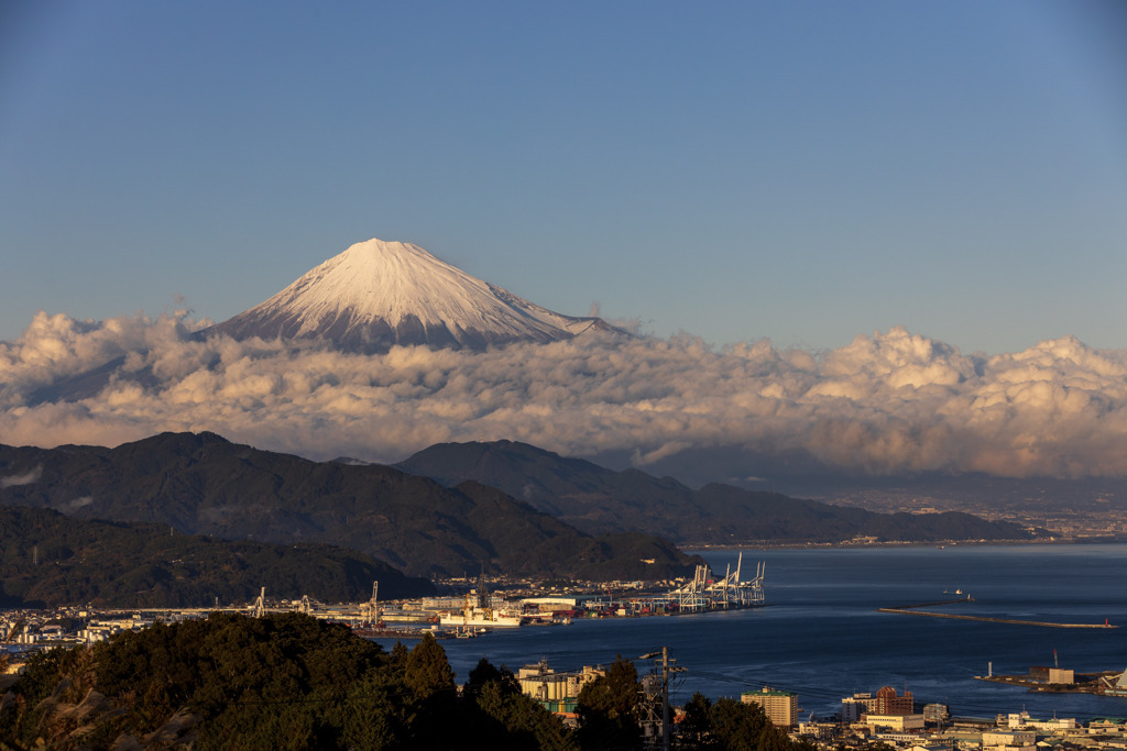 日本平からの富士山1