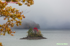 桧原湖の小島