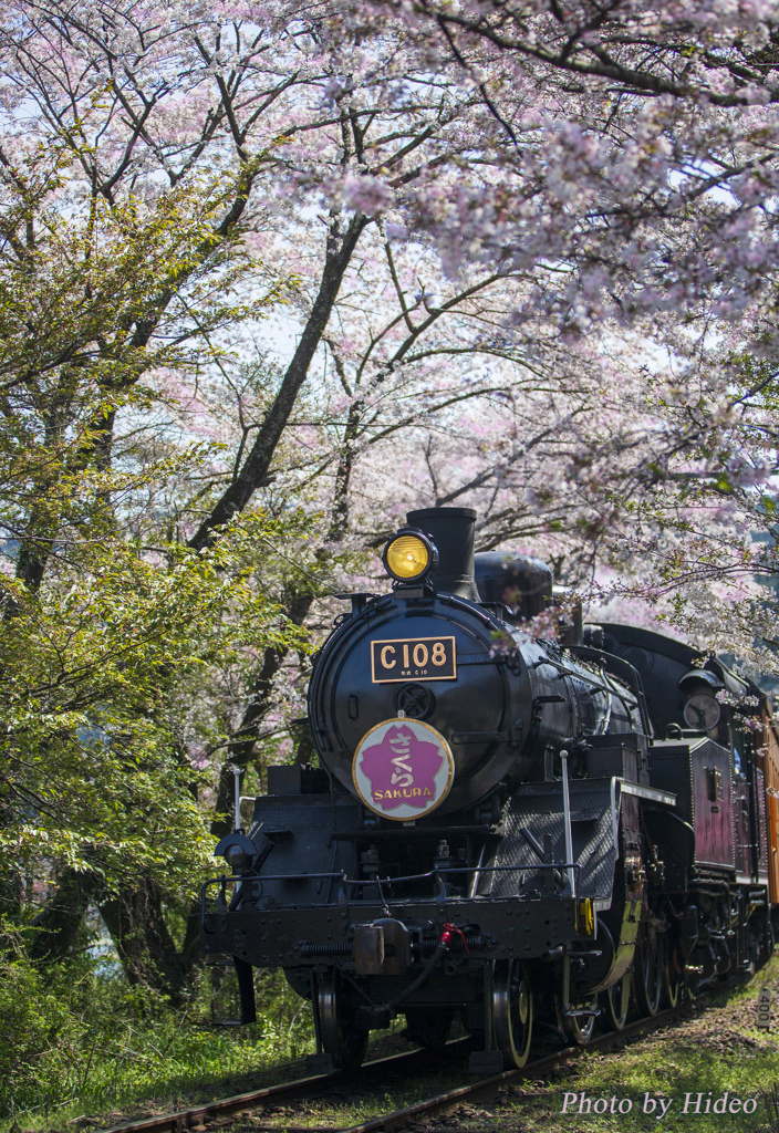 大井川鉄道SL2