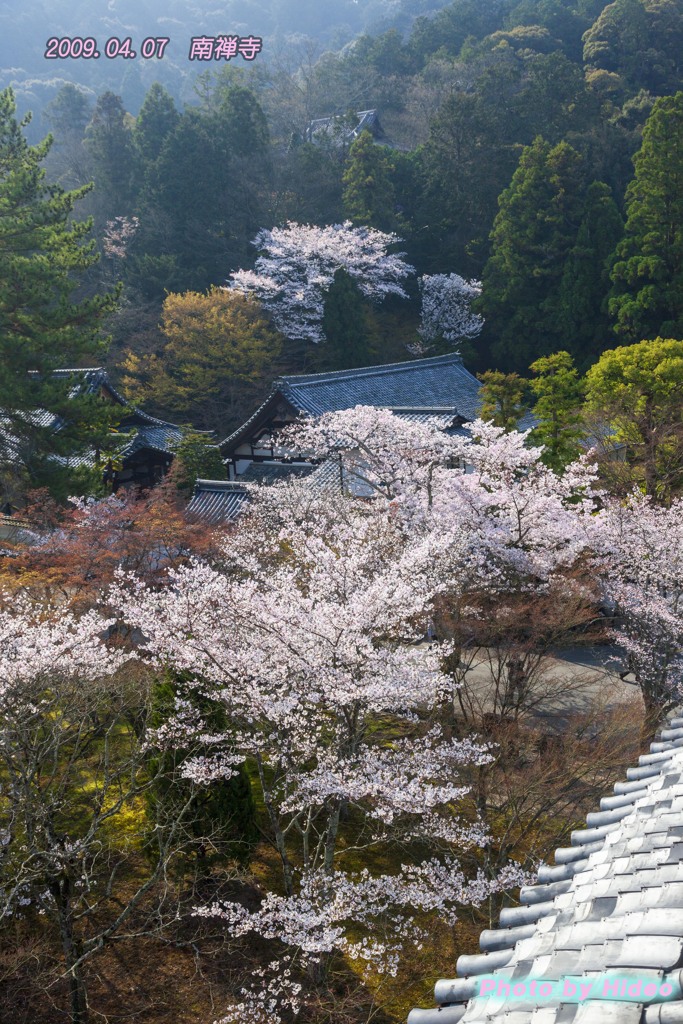 南禅寺三門