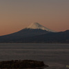 西浦江梨より1