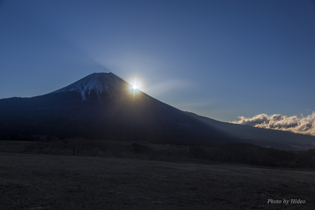 朝霧より富士山を