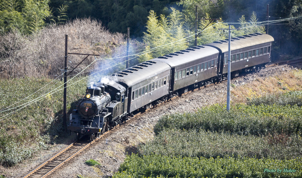 大井川鉄道　Ｃ１０（２）