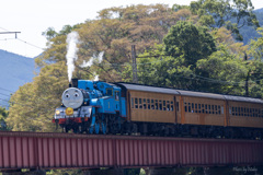 大井川鐵道　トーマス