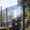 大井川鉄道　ＳＬ（Ｃ10）