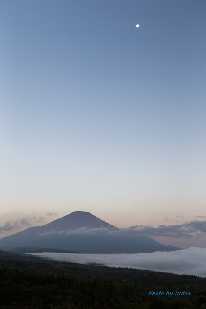 雲海と富士山