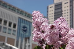 2016.05.22_13.44.40_FHD.CR2