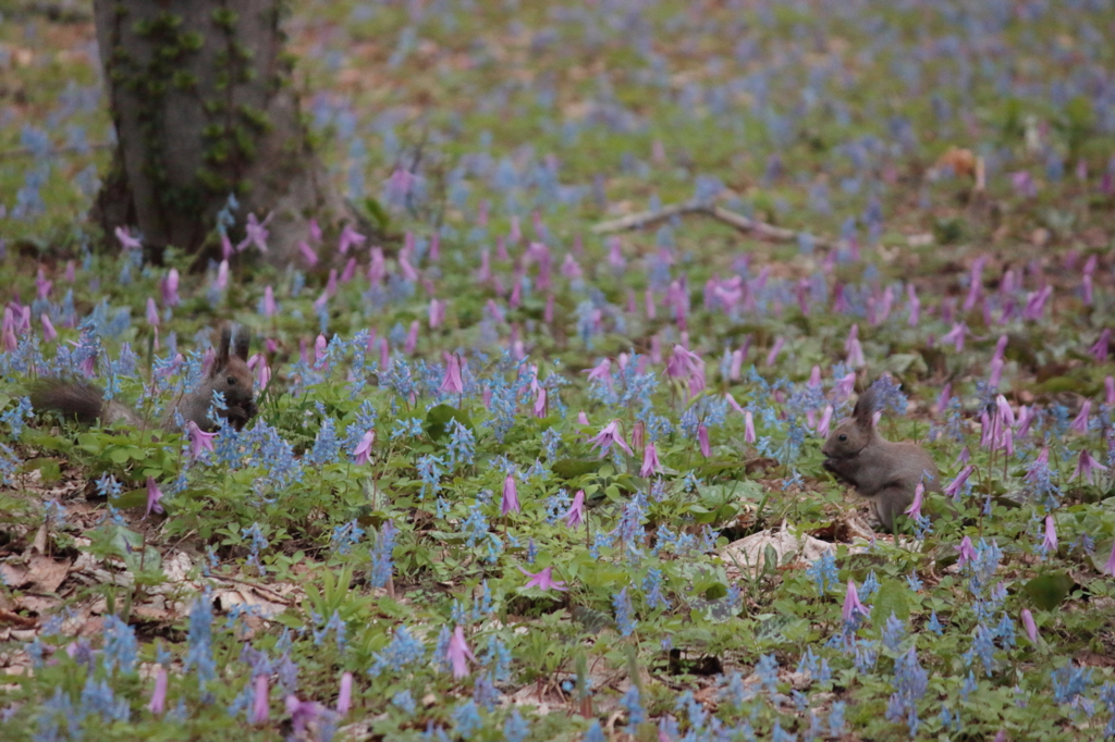 2016.05.03_04.44.28_FHD.CR2