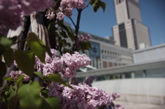 2016.05.22_13.41.12_FHD.CR2