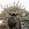 雪の上野公園