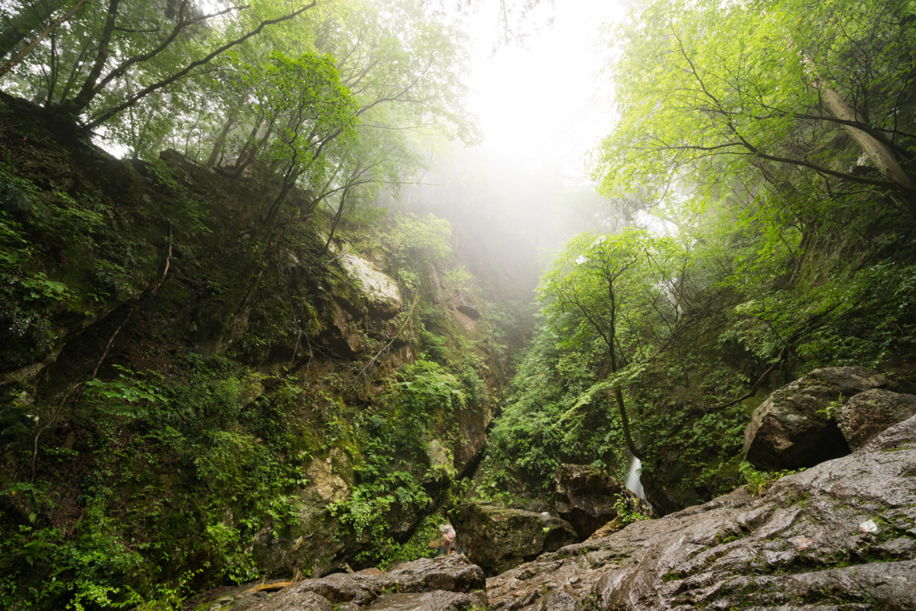 雨の奥多摩　御岳山