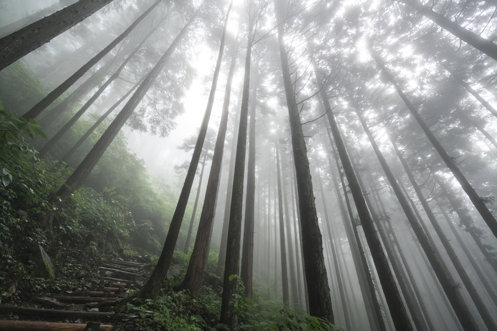 雨の奥多摩　御岳山