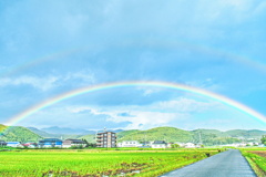 雨上がり