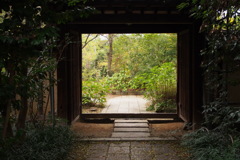 志度寺の庭