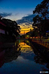IMG_8701
