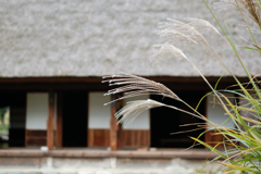 里山の秋