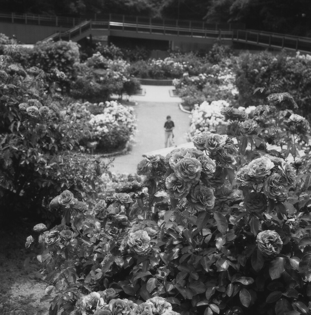 公園