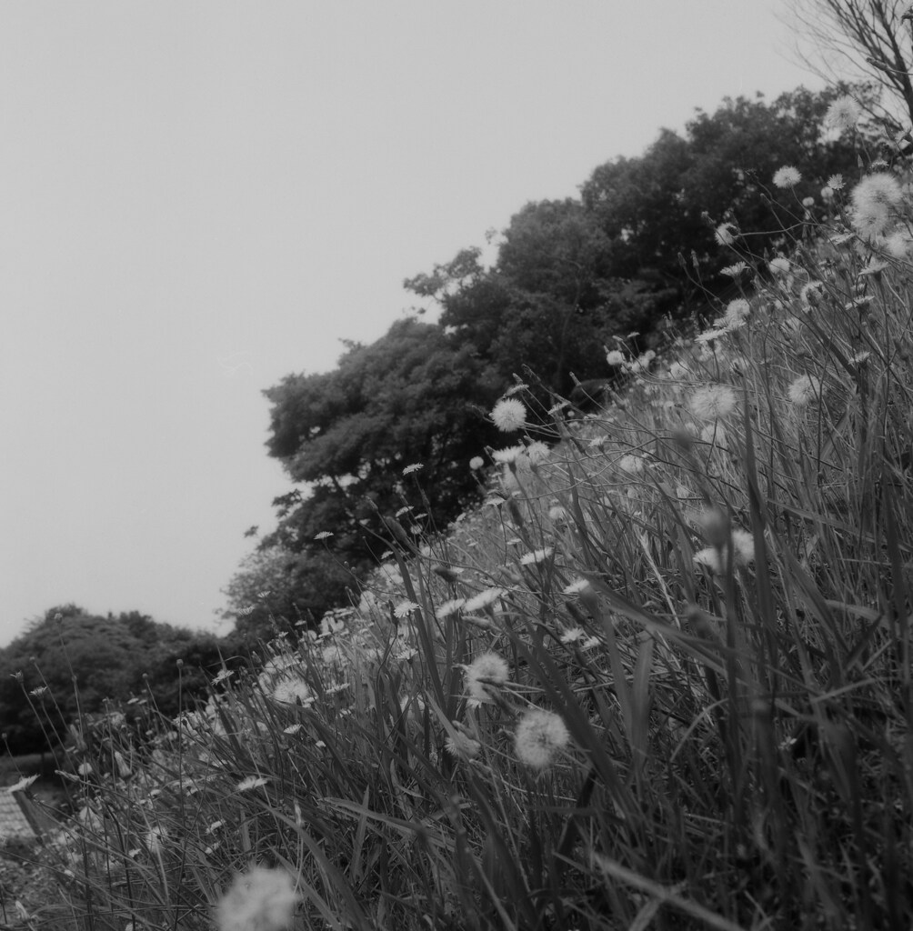 公園