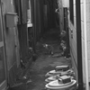 路地裏