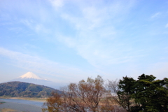 富士