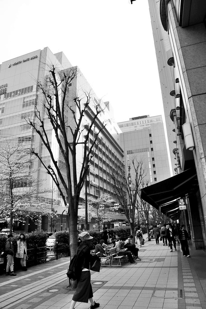 SNAP　STREET　24mm　0181