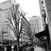 SNAP　STREET　24mm　0181
