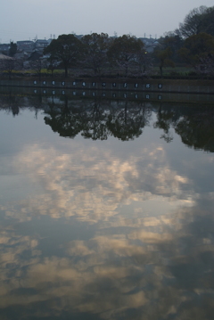 水の中の空