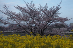 地蔵池にて（2）