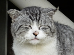 笑顔