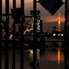 夕景