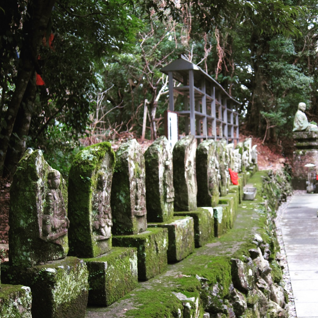 室戸散歩⑥