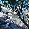室戸散歩②