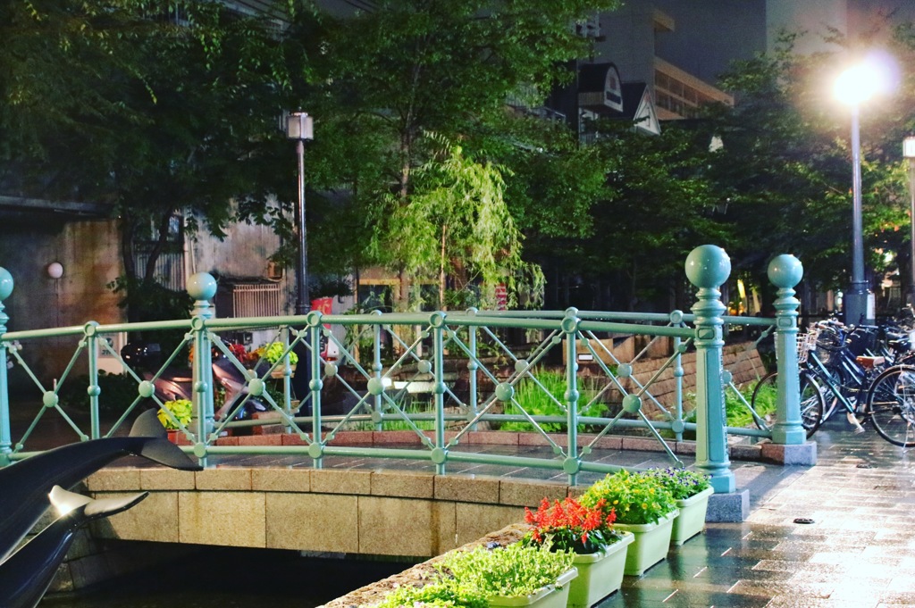 夜の公園