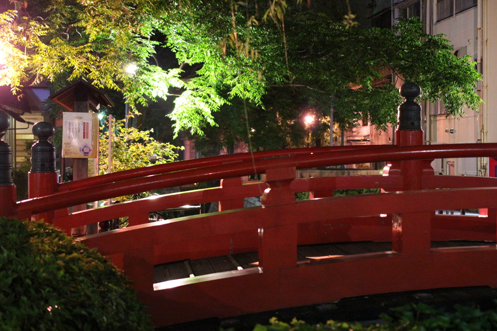 夜のはりまや橋