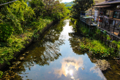 土佐の夏