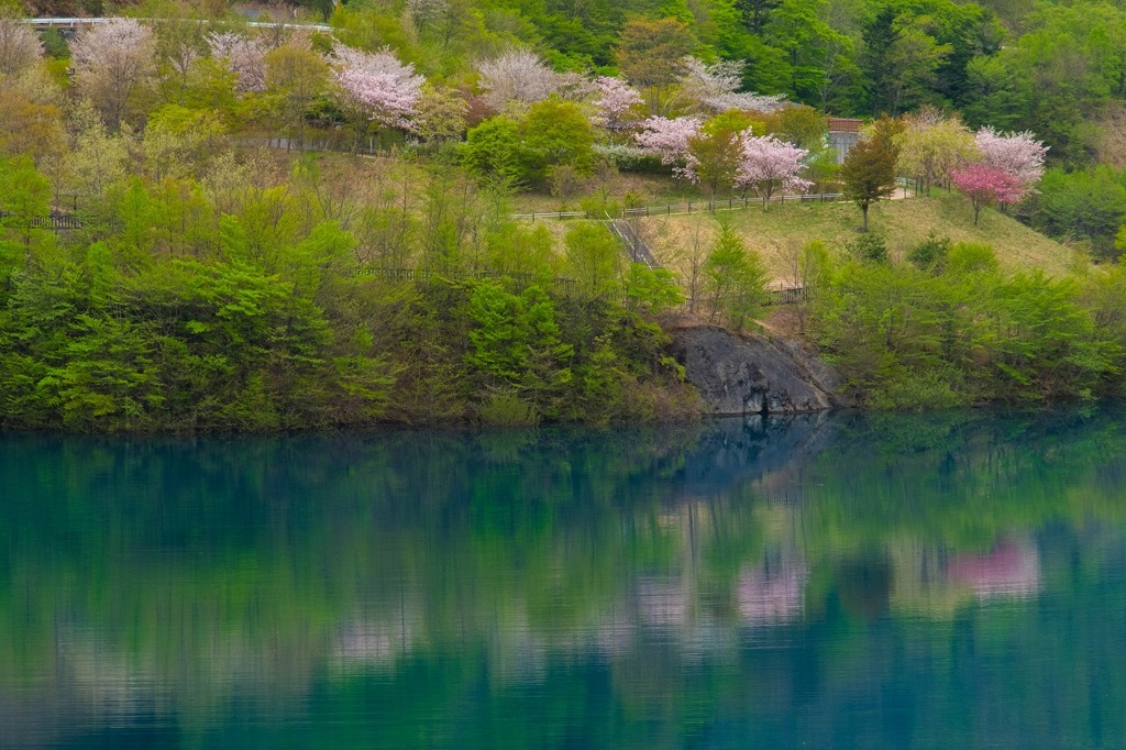 四万の春（７）