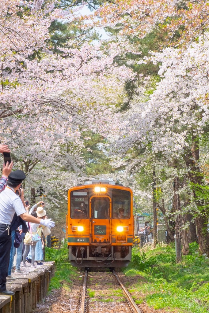 芦野公園（１）